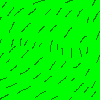 images/Grass.png